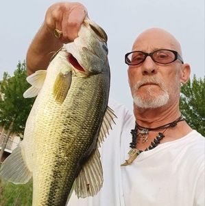 Meet your Posher, Jeffrey